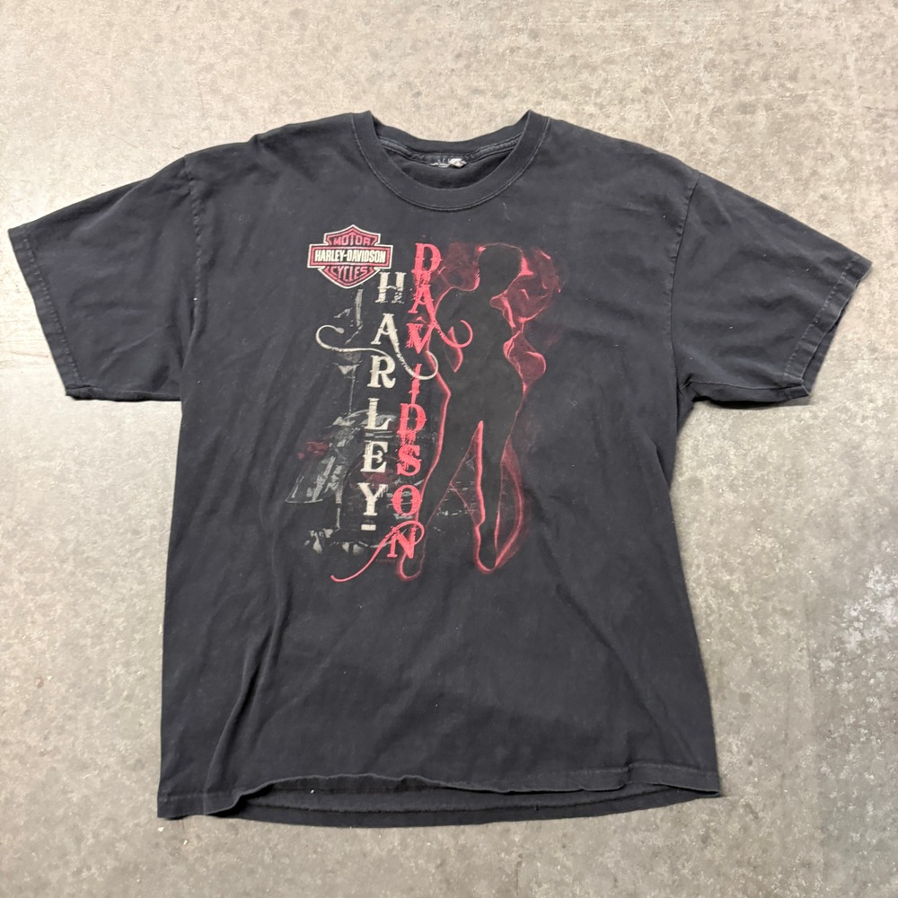 Harley Davidson Valley Forge PA Graphic T-Shirt Black Mens L Silhouette Smoke